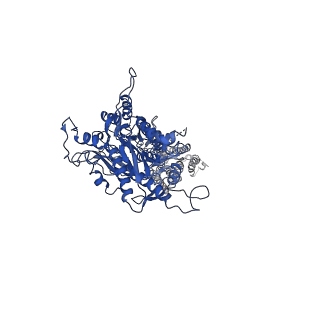 30644_7dd5_B_v1-1
Structure of Calcium-Sensing Receptor in complex with NPS-2143
