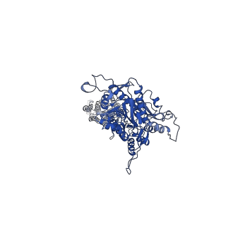 30645_7dd6_A_v1-1
Structure of Ca2+/L-Trp-bonnd Calcium-Sensing Receptor in active state
