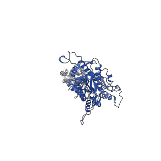 30647_7dd7_A_v1-1
Structure of Calcium-Sensing Receptor in complex with Evocalcet