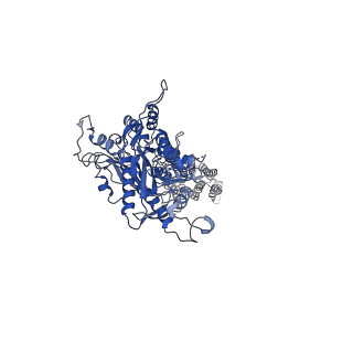 30647_7dd7_B_v1-1
Structure of Calcium-Sensing Receptor in complex with Evocalcet