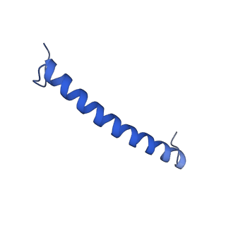30656_7ddq_B_v1-0
Structure of RC-LH1-PufX from Rhodobacter veldkampii