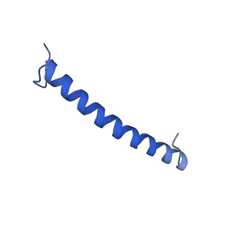 30656_7ddq_B_v2-1
Structure of RC-LH1-PufX from Rhodobacter veldkampii