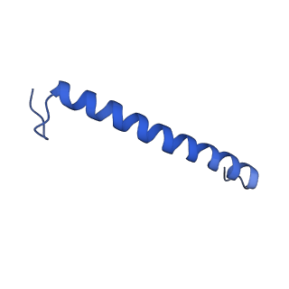 30656_7ddq_E_v2-1
Structure of RC-LH1-PufX from Rhodobacter veldkampii