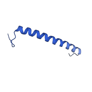 30656_7ddq_F_v2-1
Structure of RC-LH1-PufX from Rhodobacter veldkampii