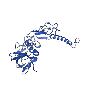 30656_7ddq_H_v2-1
Structure of RC-LH1-PufX from Rhodobacter veldkampii