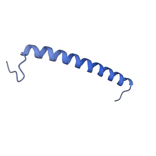 30656_7ddq_I_v2-1
Structure of RC-LH1-PufX from Rhodobacter veldkampii