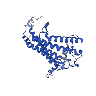 30656_7ddq_L_v1-0
Structure of RC-LH1-PufX from Rhodobacter veldkampii