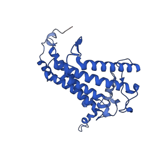 30656_7ddq_L_v2-1
Structure of RC-LH1-PufX from Rhodobacter veldkampii