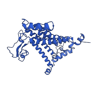30656_7ddq_M_v1-0
Structure of RC-LH1-PufX from Rhodobacter veldkampii