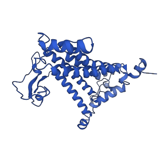 30656_7ddq_M_v2-1
Structure of RC-LH1-PufX from Rhodobacter veldkampii