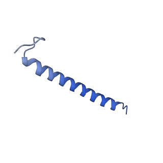 30656_7ddq_R_v1-0
Structure of RC-LH1-PufX from Rhodobacter veldkampii