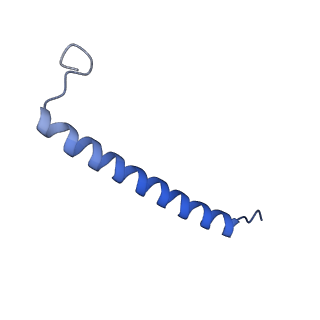 30656_7ddq_S_v2-1
Structure of RC-LH1-PufX from Rhodobacter veldkampii