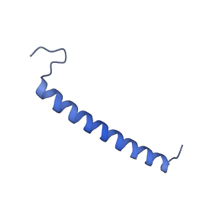30656_7ddq_T_v1-0
Structure of RC-LH1-PufX from Rhodobacter veldkampii