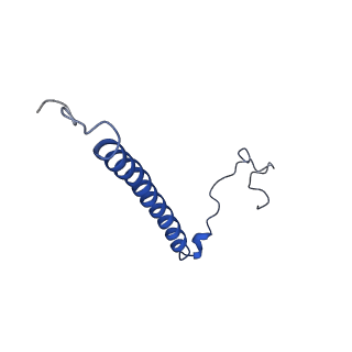 30656_7ddq_X_v1-0
Structure of RC-LH1-PufX from Rhodobacter veldkampii