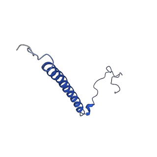 30656_7ddq_X_v2-1
Structure of RC-LH1-PufX from Rhodobacter veldkampii