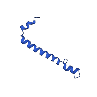 30656_7ddq_d_v1-0
Structure of RC-LH1-PufX from Rhodobacter veldkampii