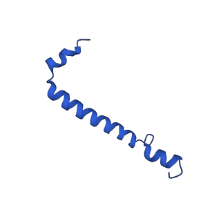 30656_7ddq_d_v2-1
Structure of RC-LH1-PufX from Rhodobacter veldkampii