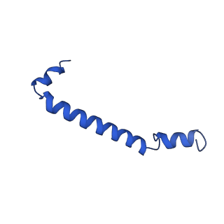 30656_7ddq_f_v1-0
Structure of RC-LH1-PufX from Rhodobacter veldkampii