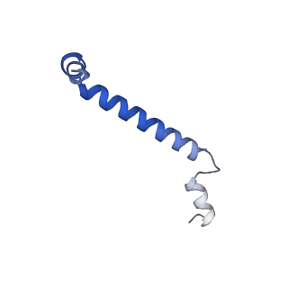 30656_7ddq_u_v2-1
Structure of RC-LH1-PufX from Rhodobacter veldkampii