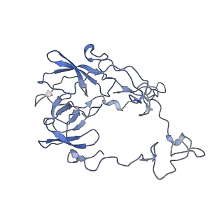 7867_6ddd_B_v1-1
Structure of the 50S ribosomal subunit from Methicillin Resistant Staphylococcus aureus in complex with the oxazolidinone antibiotic LZD-5