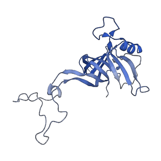 7867_6ddd_L_v1-1
Structure of the 50S ribosomal subunit from Methicillin Resistant Staphylococcus aureus in complex with the oxazolidinone antibiotic LZD-5
