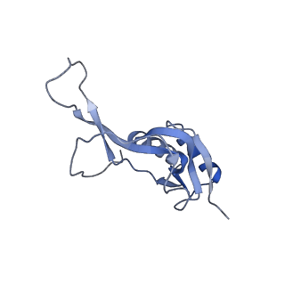 7867_6ddd_Y_v1-1
Structure of the 50S ribosomal subunit from Methicillin Resistant Staphylococcus aureus in complex with the oxazolidinone antibiotic LZD-5
