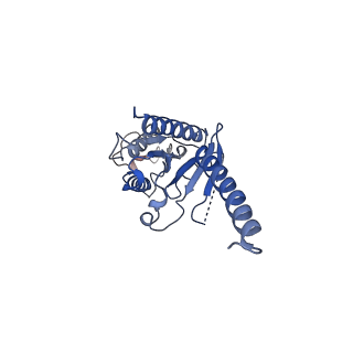 7868_6dde_A_v1-3
Mu Opioid Receptor-Gi Protein Complex