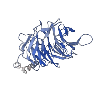 7868_6dde_B_v1-3
Mu Opioid Receptor-Gi Protein Complex