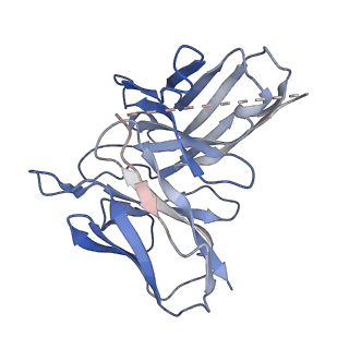 7868_6dde_E_v1-3
Mu Opioid Receptor-Gi Protein Complex