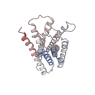 7868_6dde_R_v1-3
Mu Opioid Receptor-Gi Protein Complex
