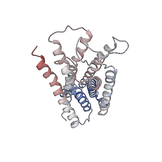 7868_6dde_R_v2-0
Mu Opioid Receptor-Gi Protein Complex
