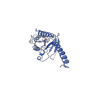 7869_6ddf_A_v2-0
Mu Opioid Receptor-Gi Protein Complex