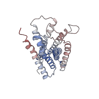 7869_6ddf_R_v1-3
Mu Opioid Receptor-Gi Protein Complex