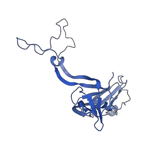 7870_6ddg_L_v1-1
Structure of the 50S ribosomal subunit from Methicillin Resistant Staphylococcus aureus in complex with the oxazolidinone antibiotic LZD-6