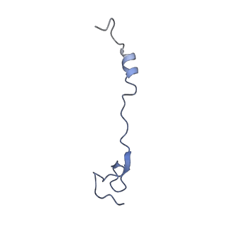 7870_6ddg_N_v1-1
Structure of the 50S ribosomal subunit from Methicillin Resistant Staphylococcus aureus in complex with the oxazolidinone antibiotic LZD-6