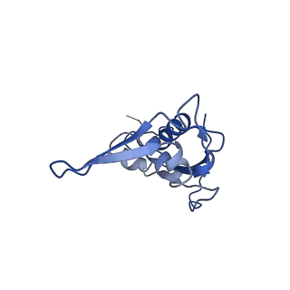 7870_6ddg_V_v1-1
Structure of the 50S ribosomal subunit from Methicillin Resistant Staphylococcus aureus in complex with the oxazolidinone antibiotic LZD-6