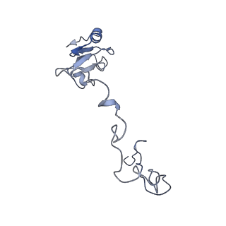 7870_6ddg_X_v1-1
Structure of the 50S ribosomal subunit from Methicillin Resistant Staphylococcus aureus in complex with the oxazolidinone antibiotic LZD-6