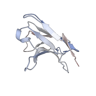 27384_8de4_C_v1-0
Native serotonin transporter in complex with 15B8 Fab in the presence of methamphetamine