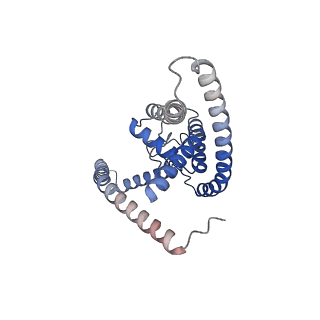 27386_8de7_A_v1-0
Cryo-EM structure of the zebrafish two pore domain K+ channel TREK1 (K2P2.1) in DDM detergent
