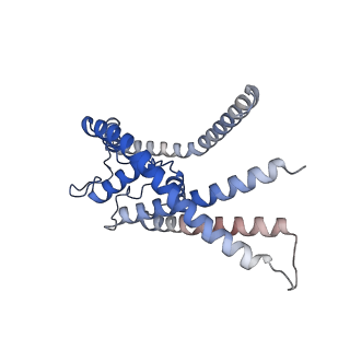 27386_8de7_B_v1-0
Cryo-EM structure of the zebrafish two pore domain K+ channel TREK1 (K2P2.1) in DDM detergent