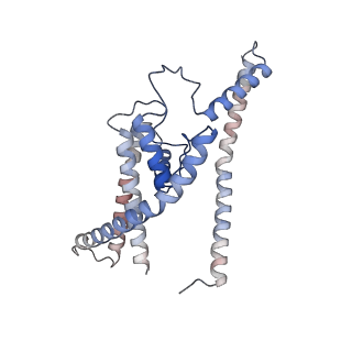 27388_8de9_B_v1-0
Cryo-EM structure of the zebrafish two pore domain K+ channel TREK1 (K2P2.1) in DDM/POPE mixed micelles