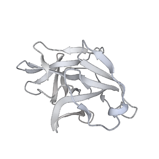 27389_8dec_E_v1-1
Cryo-EM Structure of Western Equine Encephalitis Virus
