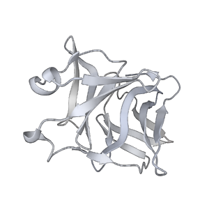 27389_8dec_M_v1-1
Cryo-EM Structure of Western Equine Encephalitis Virus
