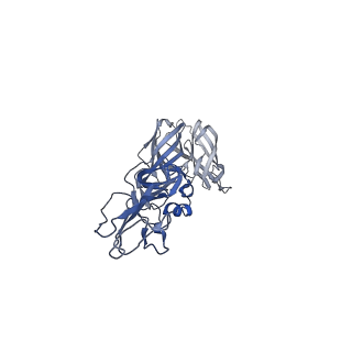 27390_8ded_A_v1-1
Cryo-EM Structure of Western Equine Encephalitis Virus VLP in complex with SKW19 fab