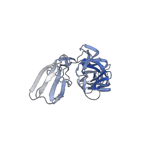 27390_8ded_B_v1-1
Cryo-EM Structure of Western Equine Encephalitis Virus VLP in complex with SKW19 fab