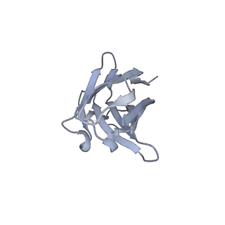 27390_8ded_U_v1-1
Cryo-EM Structure of Western Equine Encephalitis Virus VLP in complex with SKW19 fab