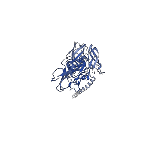 27391_8dee_A_v1-1
Asymmetric Unit of Western Equine Encephalitis Virus