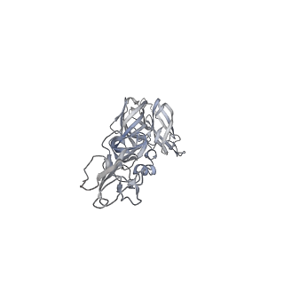 27392_8def_A_v1-1
Cryo-EM Structure of Western Equine Encephalitis Virus VLP in complex with SKW24 fab