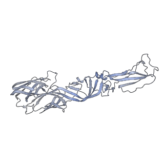 27392_8def_F_v1-1
Cryo-EM Structure of Western Equine Encephalitis Virus VLP in complex with SKW24 fab