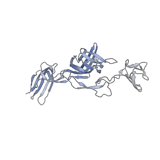 27392_8def_G_v1-1
Cryo-EM Structure of Western Equine Encephalitis Virus VLP in complex with SKW24 fab